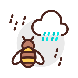 Bee and Rain